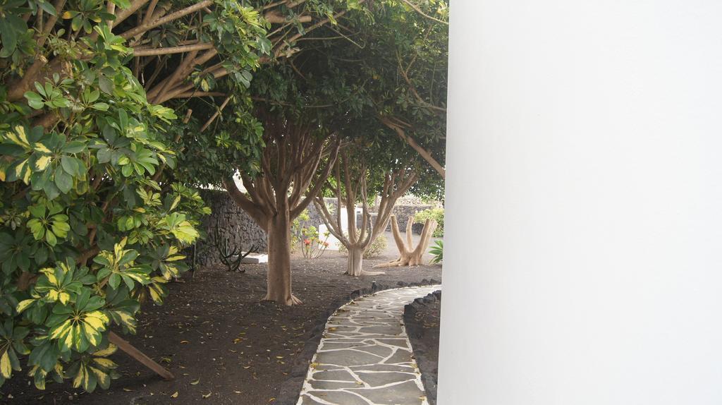 Finca La Rubina Mozaga ภายนอก รูปภาพ